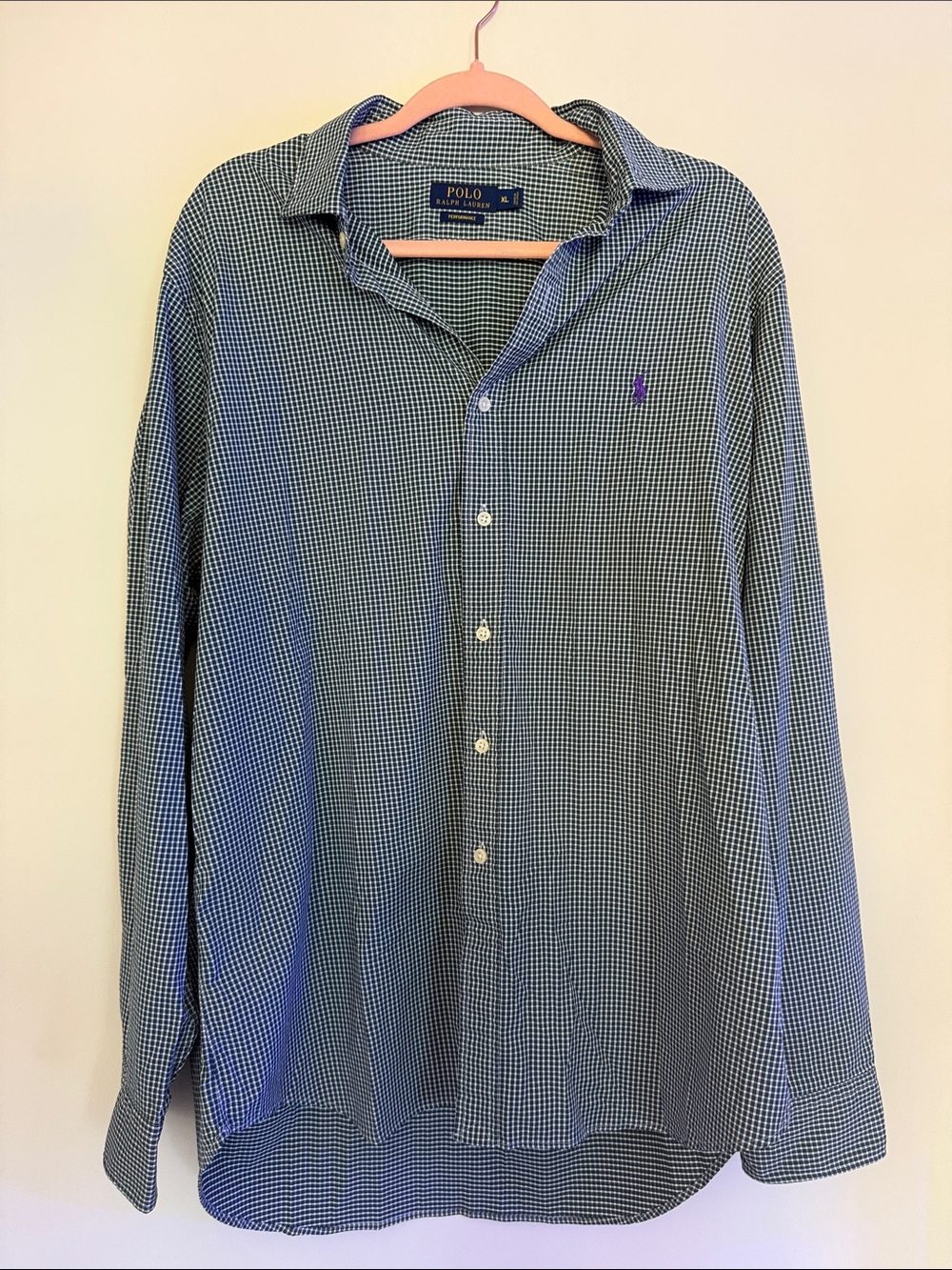 Polo by Ralph Lauren Blue & White Gingham Button-Down Shirt